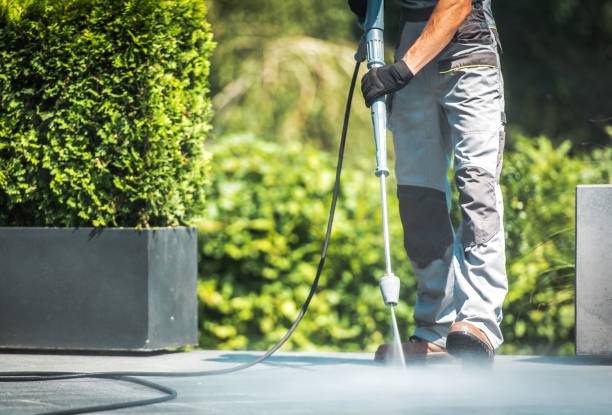 Best Roof Washing  in West Freehold, NJ